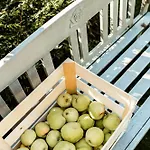 Rosemary House Is A Peaceful Family Getaway Σπίτι διακοπών *
